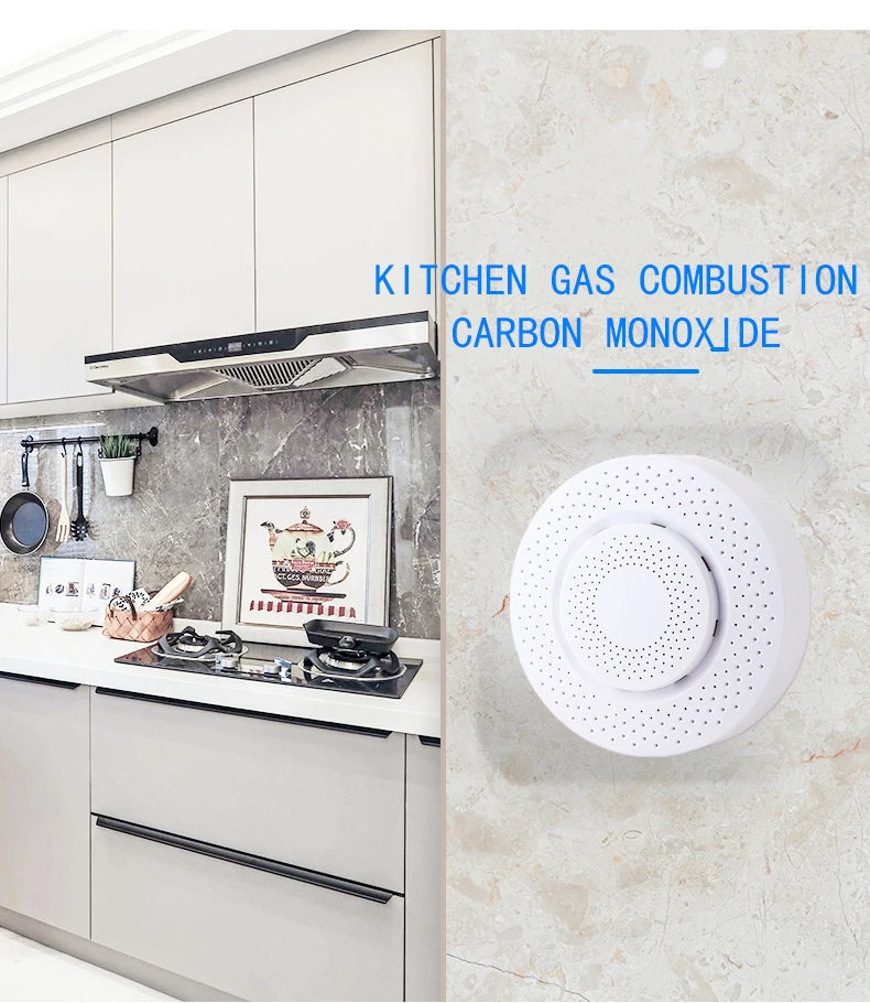 Smart Carbon Monoxide Detector WiFi Gas Alarm