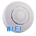 Smart Carbon Monoxide Detector WiFi Gas Alarm