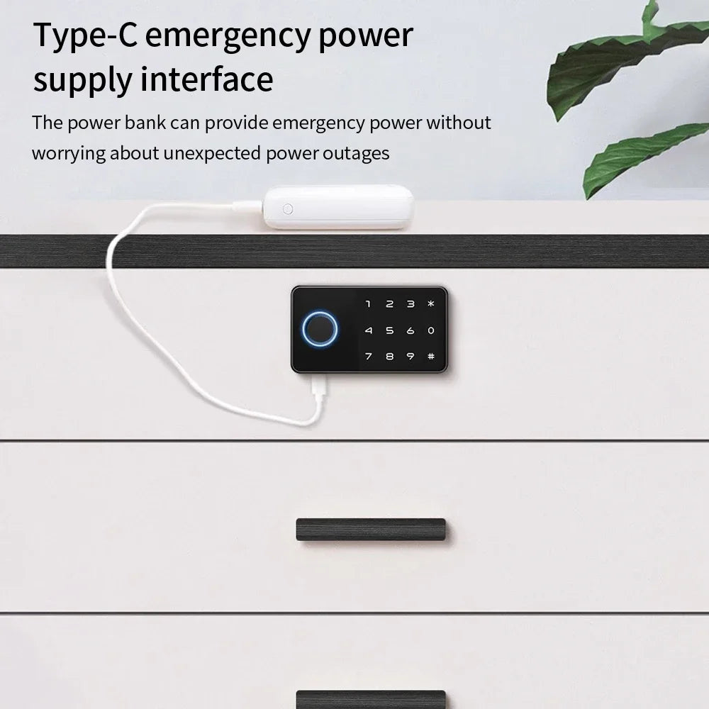 Smart Fingerprint Cabinet Lock Keyless Door Lock