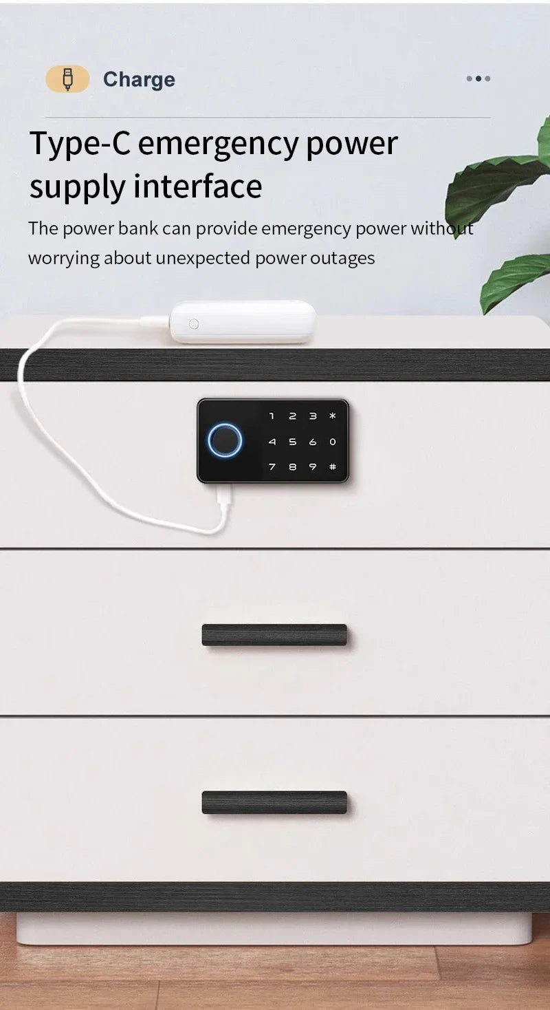 Smart Fingerprint Cabinet Lock Keyless Door Lock